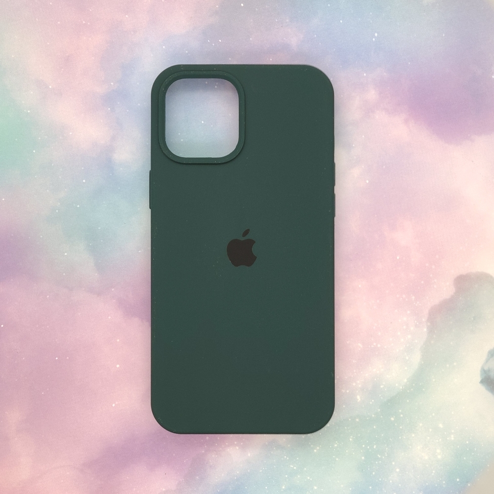 iPhone 12 Pro Max Case